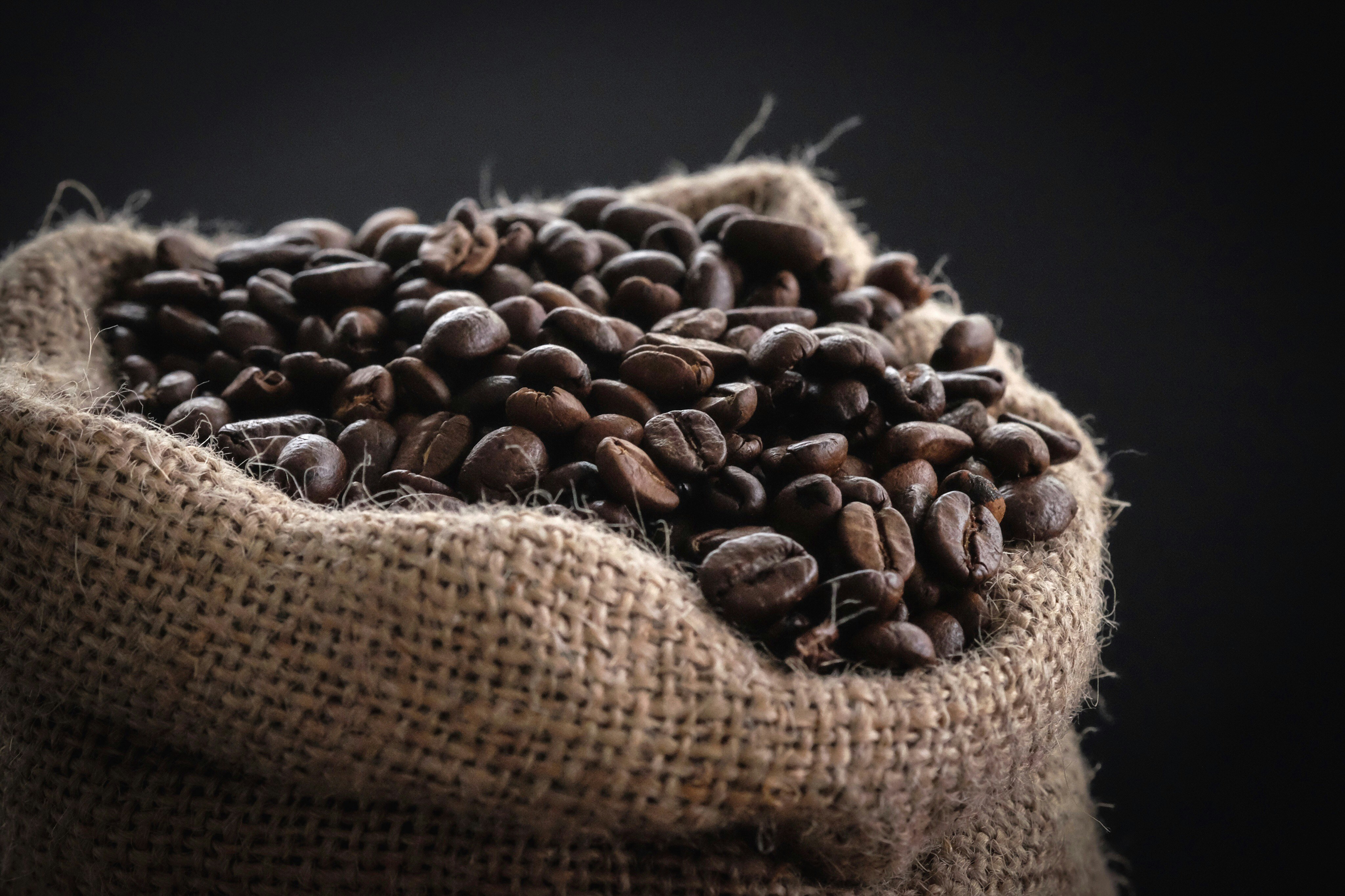 Mount Elgon Arabica coffee cherries